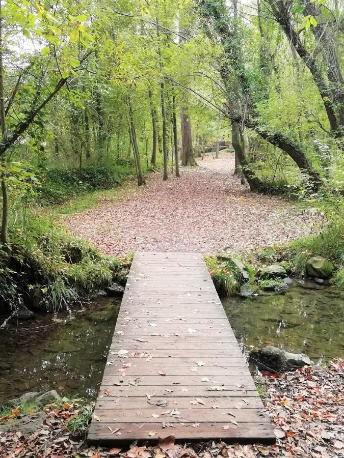Apartament Natura Amb Calma Olot Kültér fotó